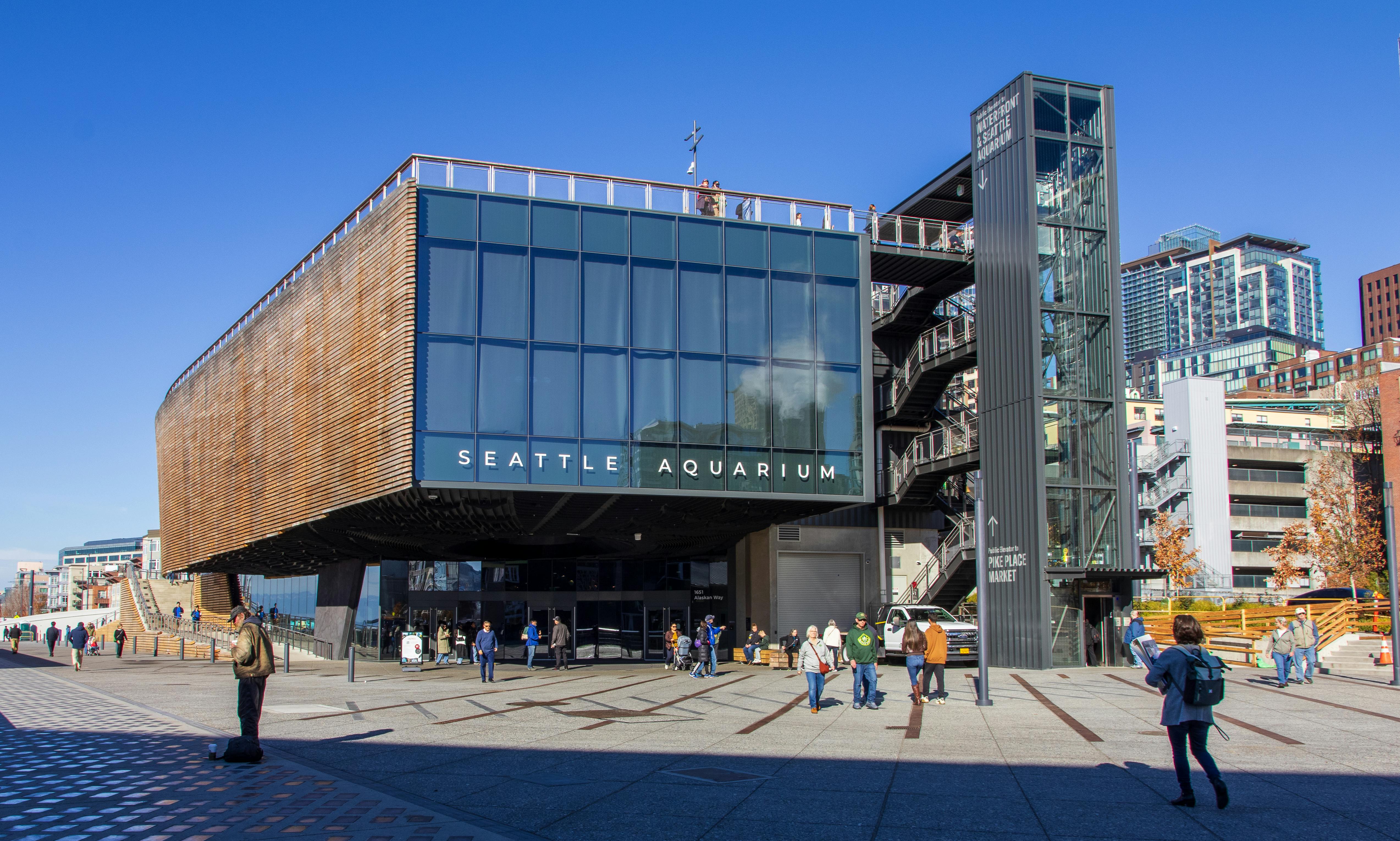 Discovering the Wonders Beneath the Waves: A Visit to the Seattle Aquarium