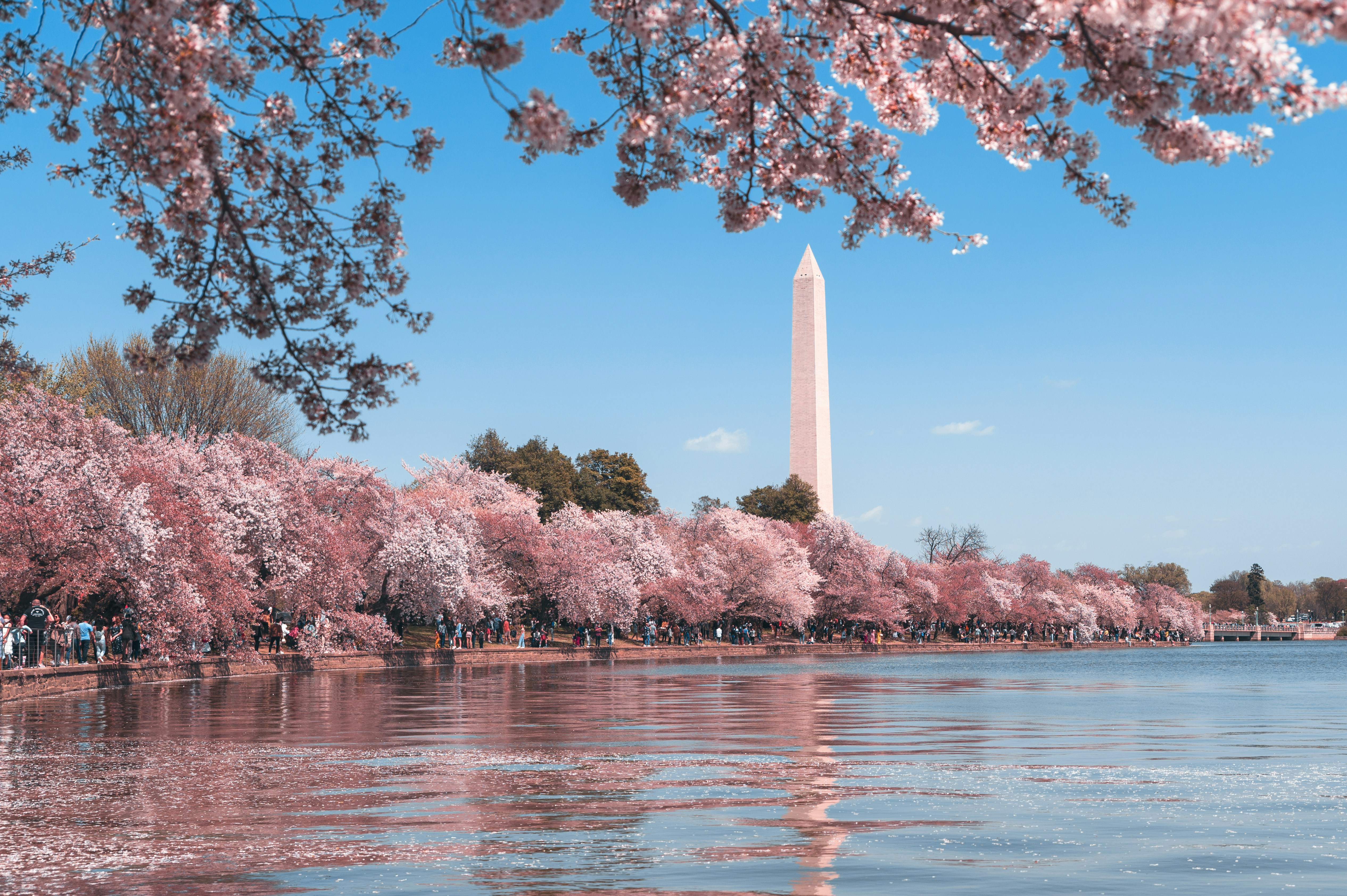 D.C.