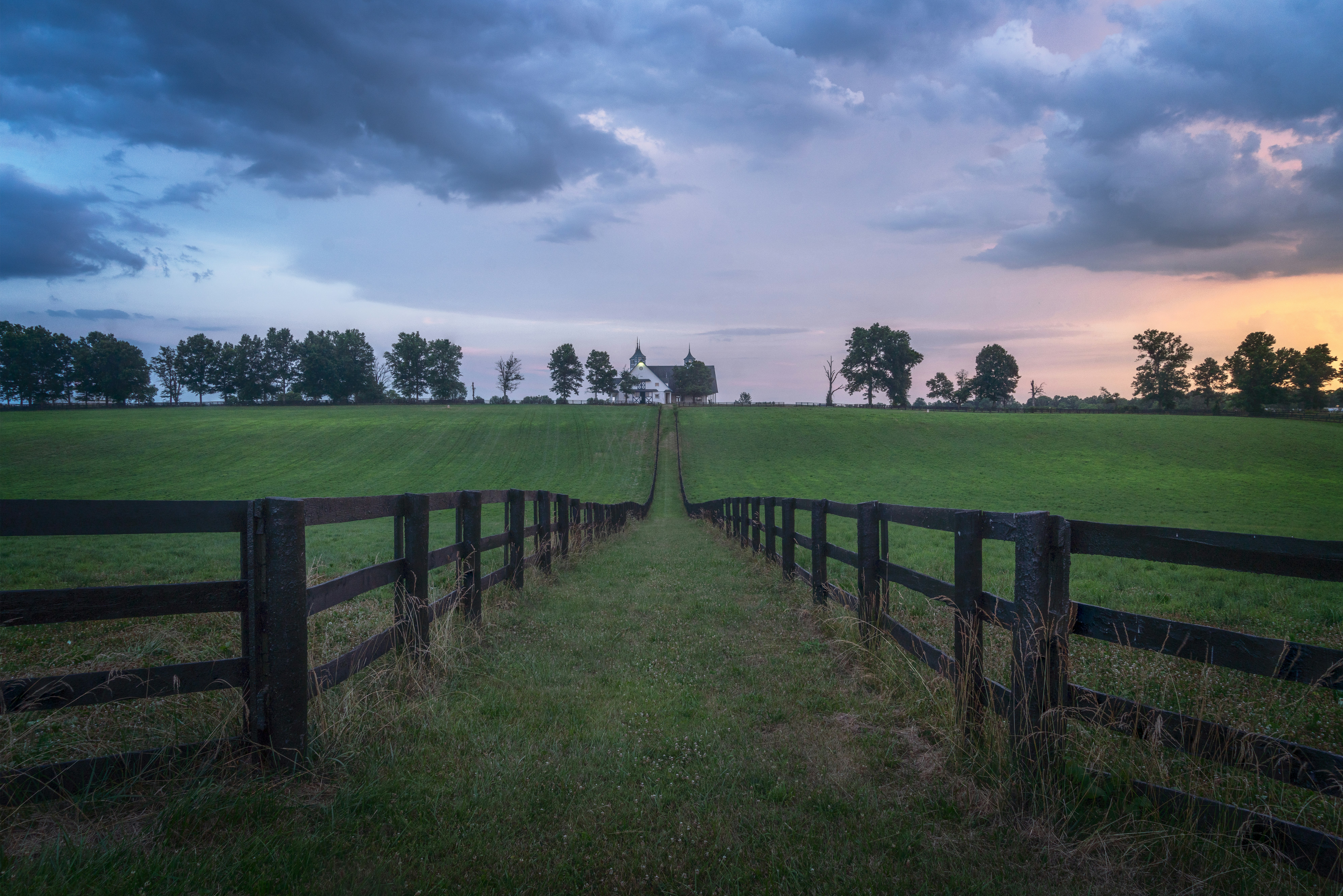 Lexington