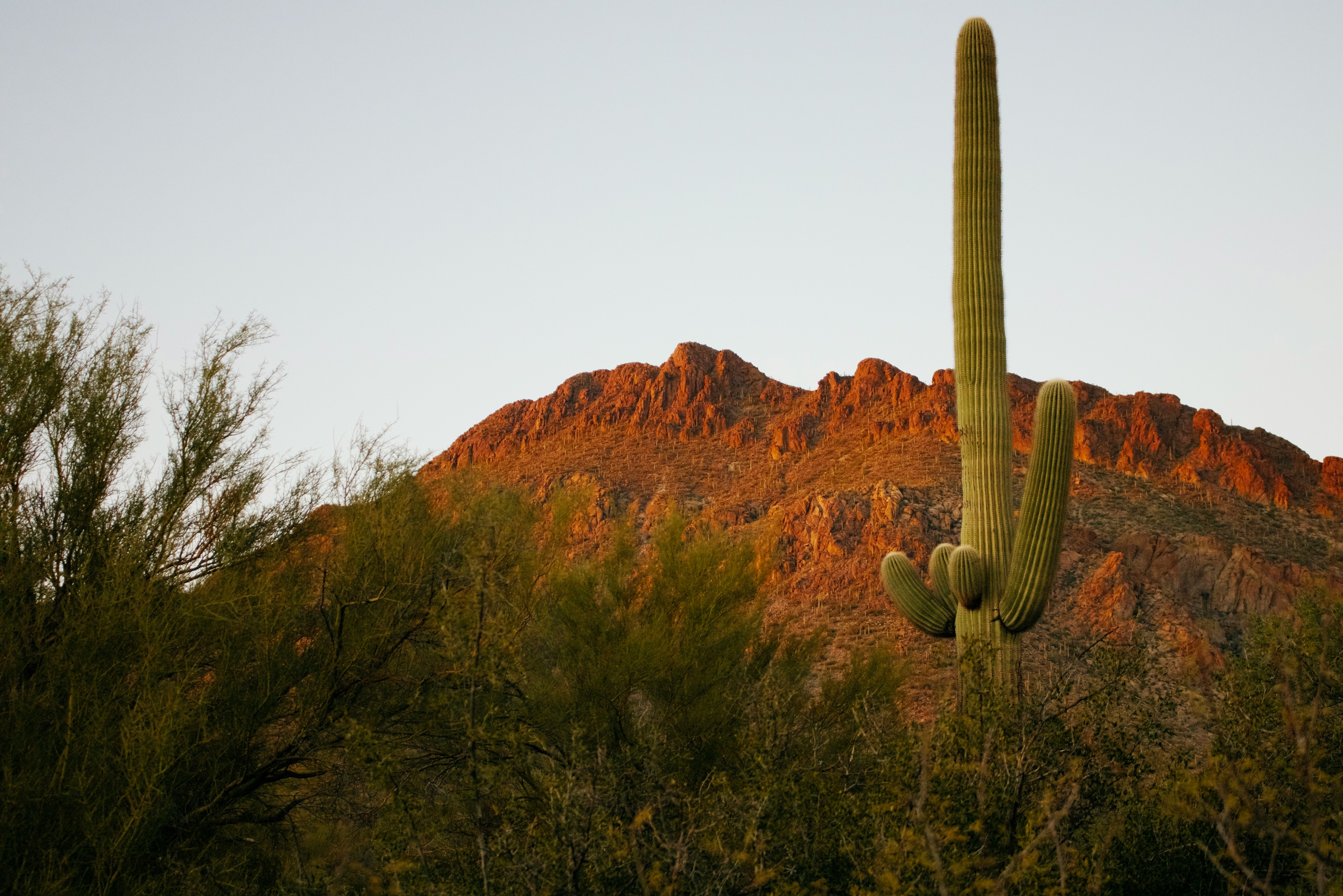 Tucson