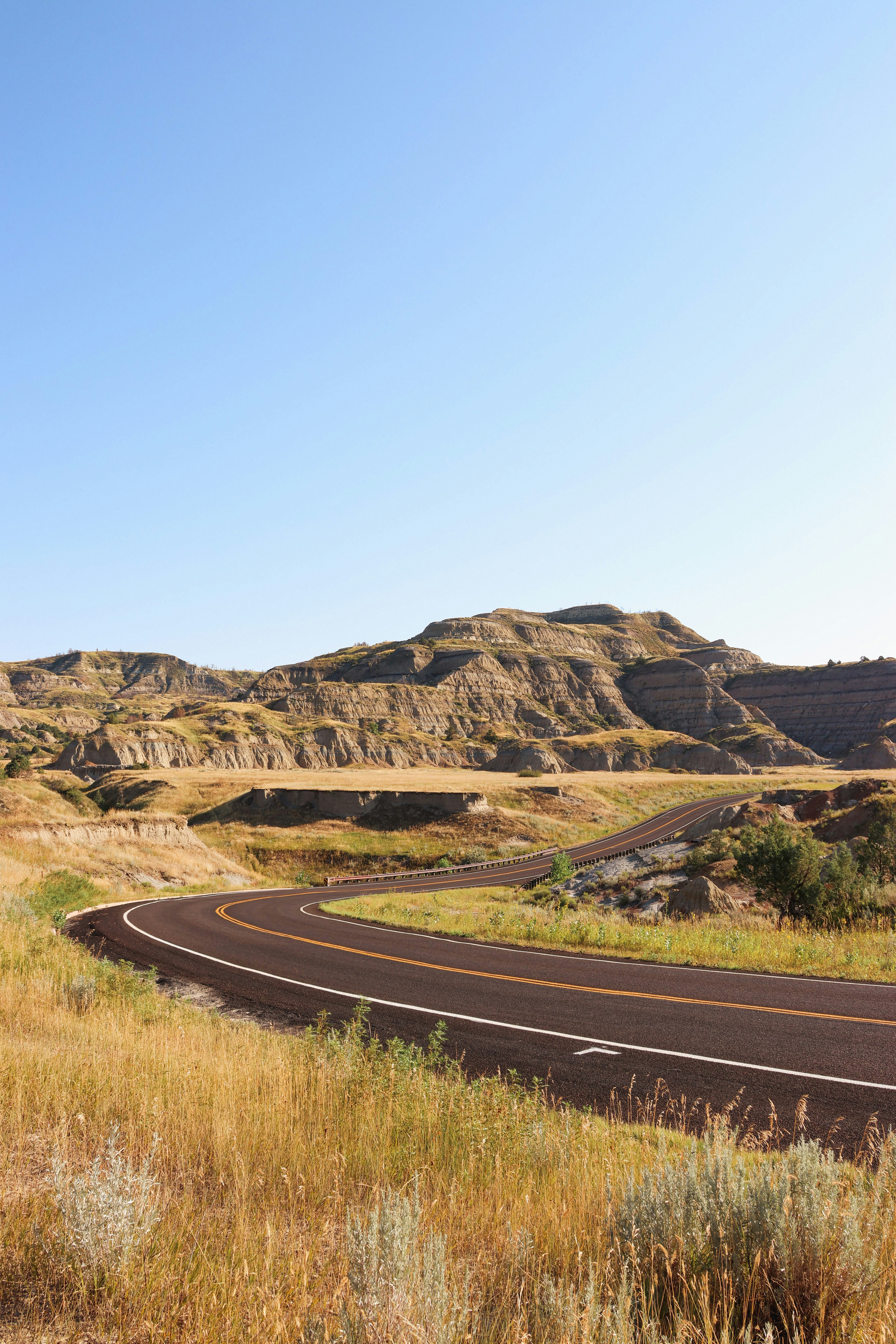 Medora