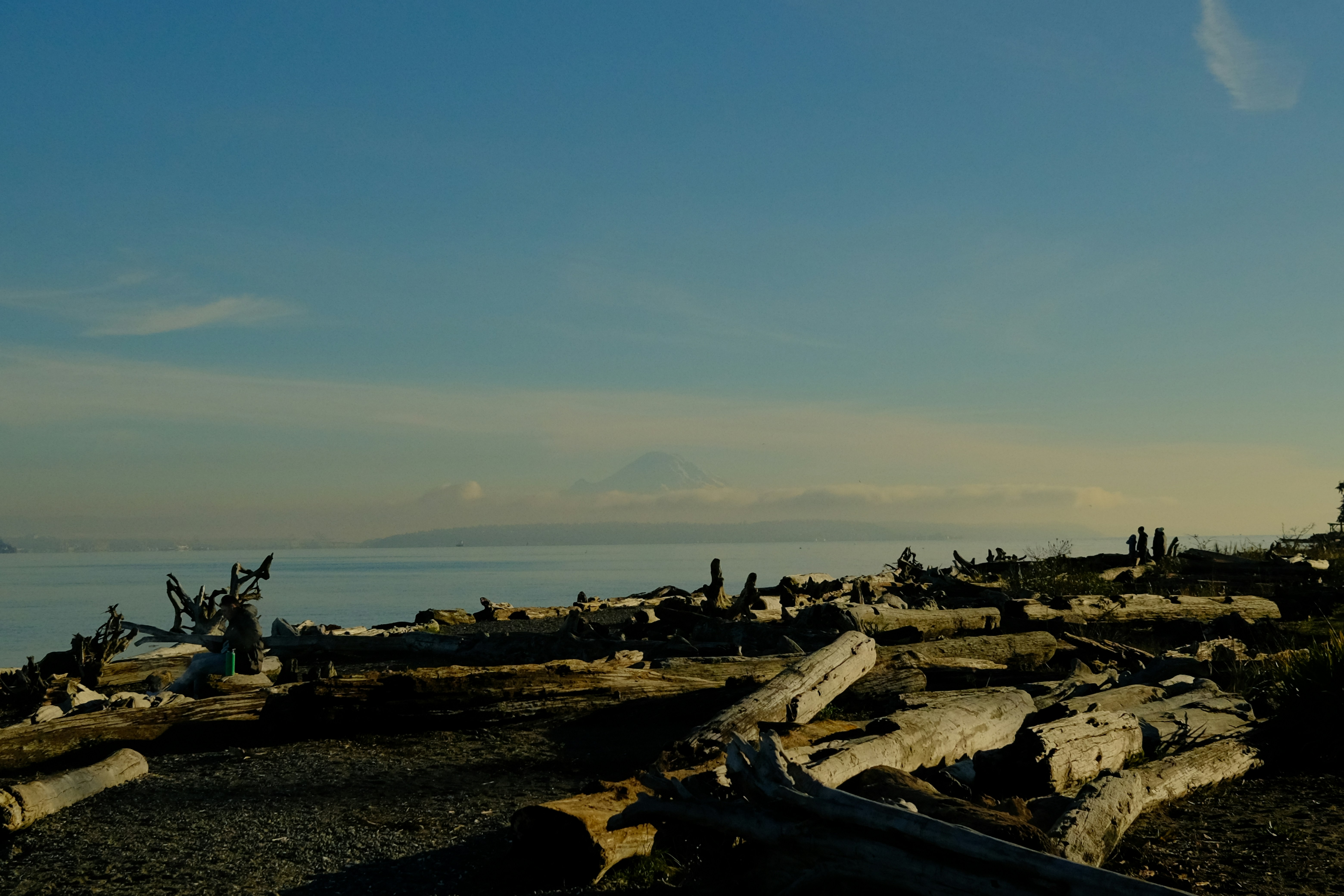 Bainbridge Island Discovery Tour