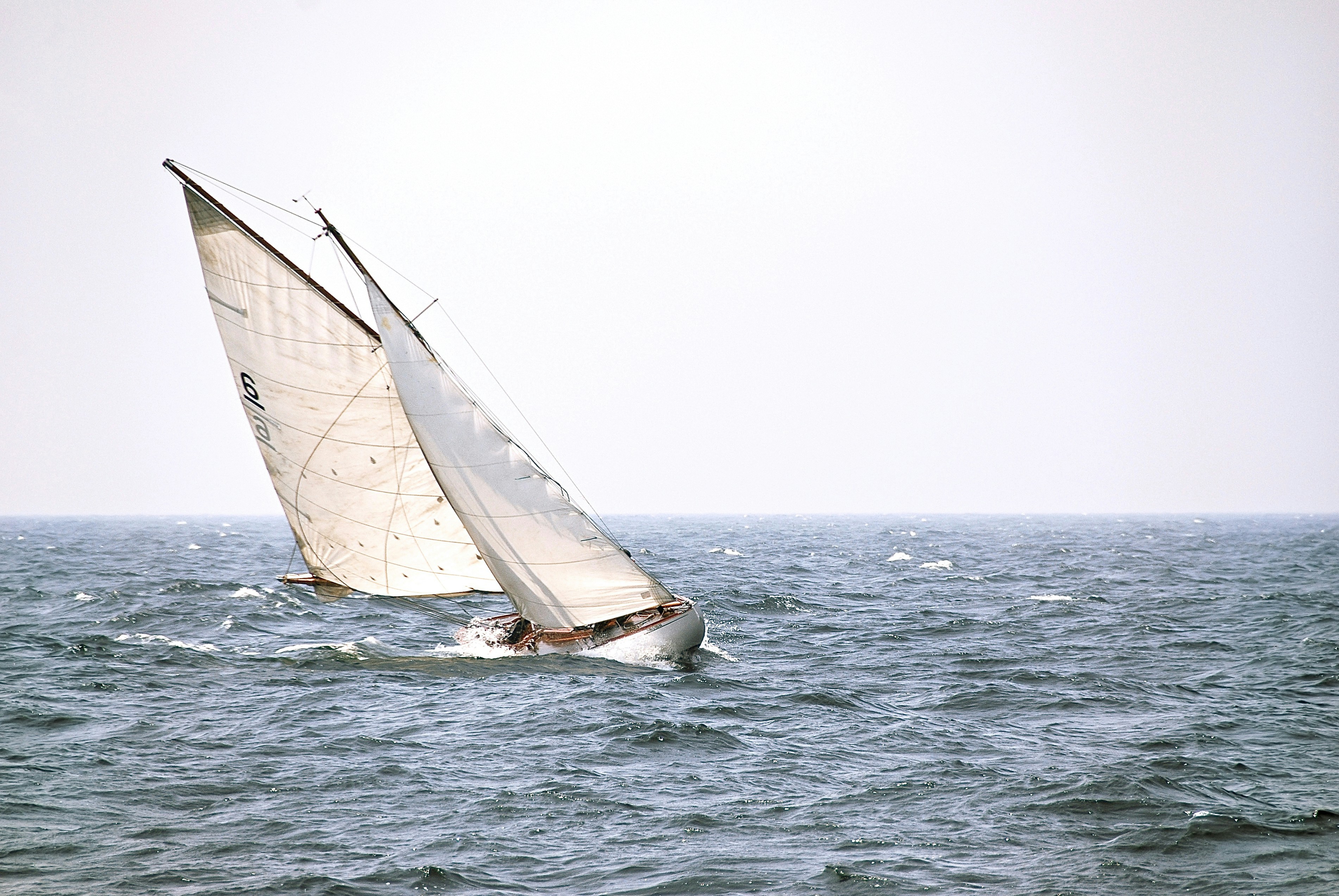 Sailing Seattle Harbor (2-Hour Tour)