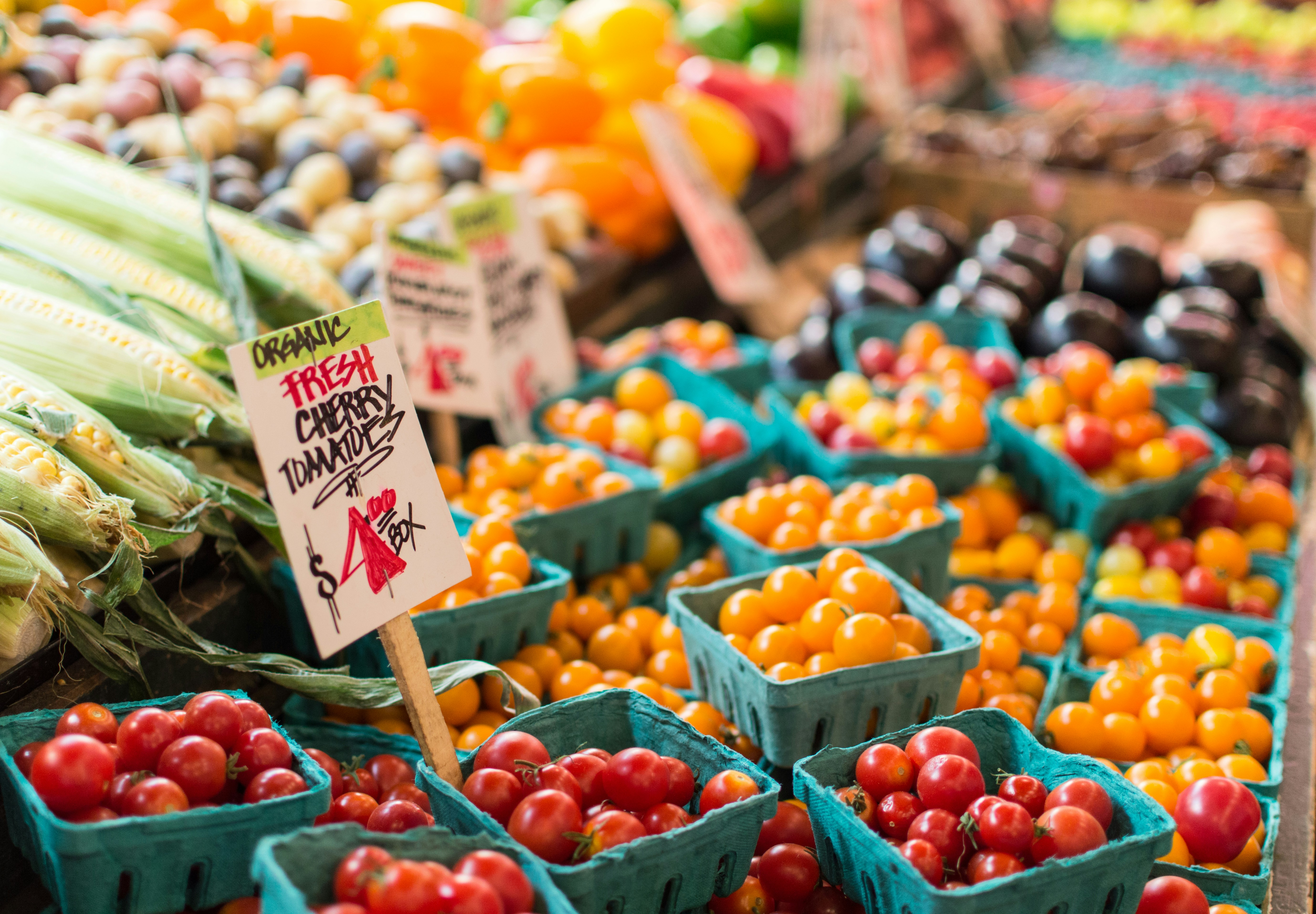 Portland Saturday Market - Art, Food, and Local Creativity by the River