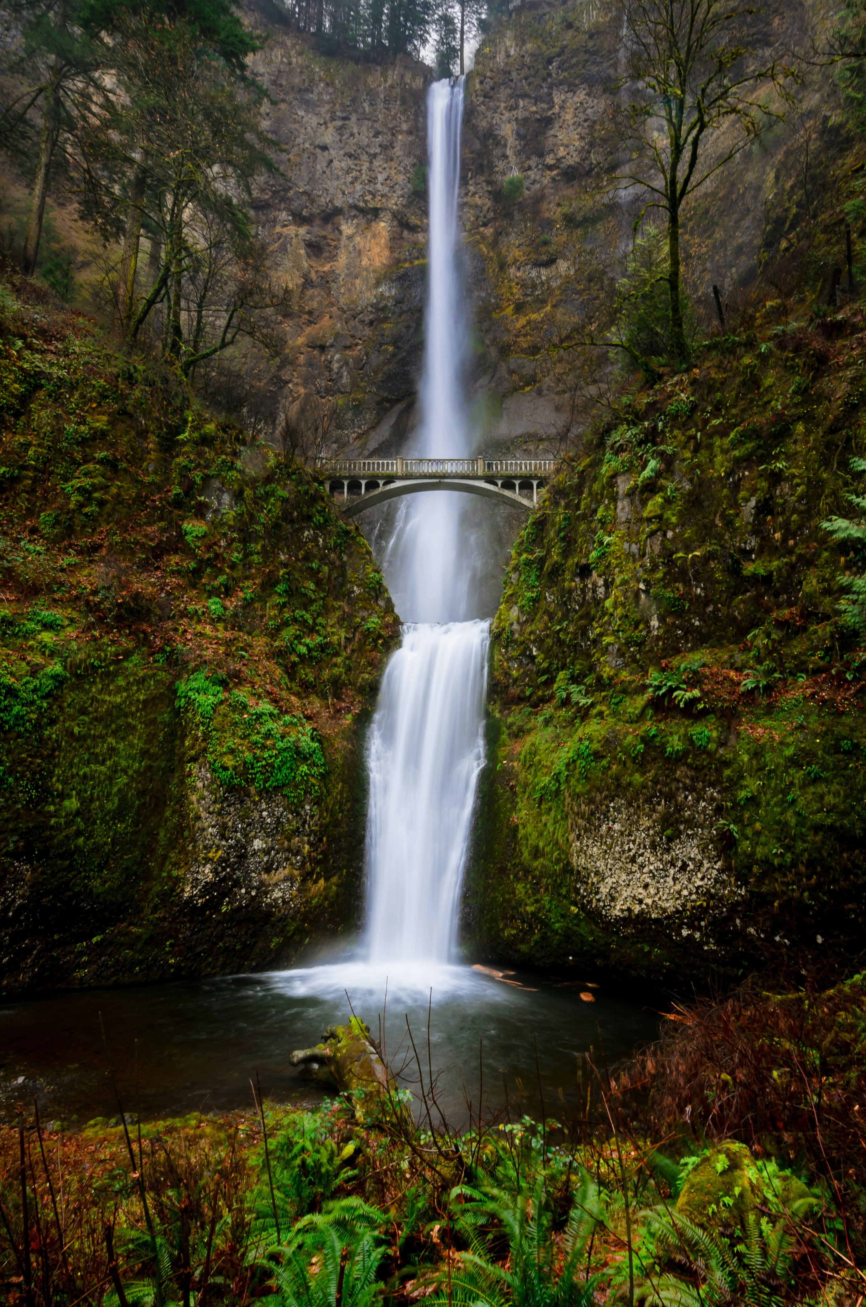 Multnomah Falls & Gorge Waterfalls Tour - Portland’s Half-Day Scenic Escape