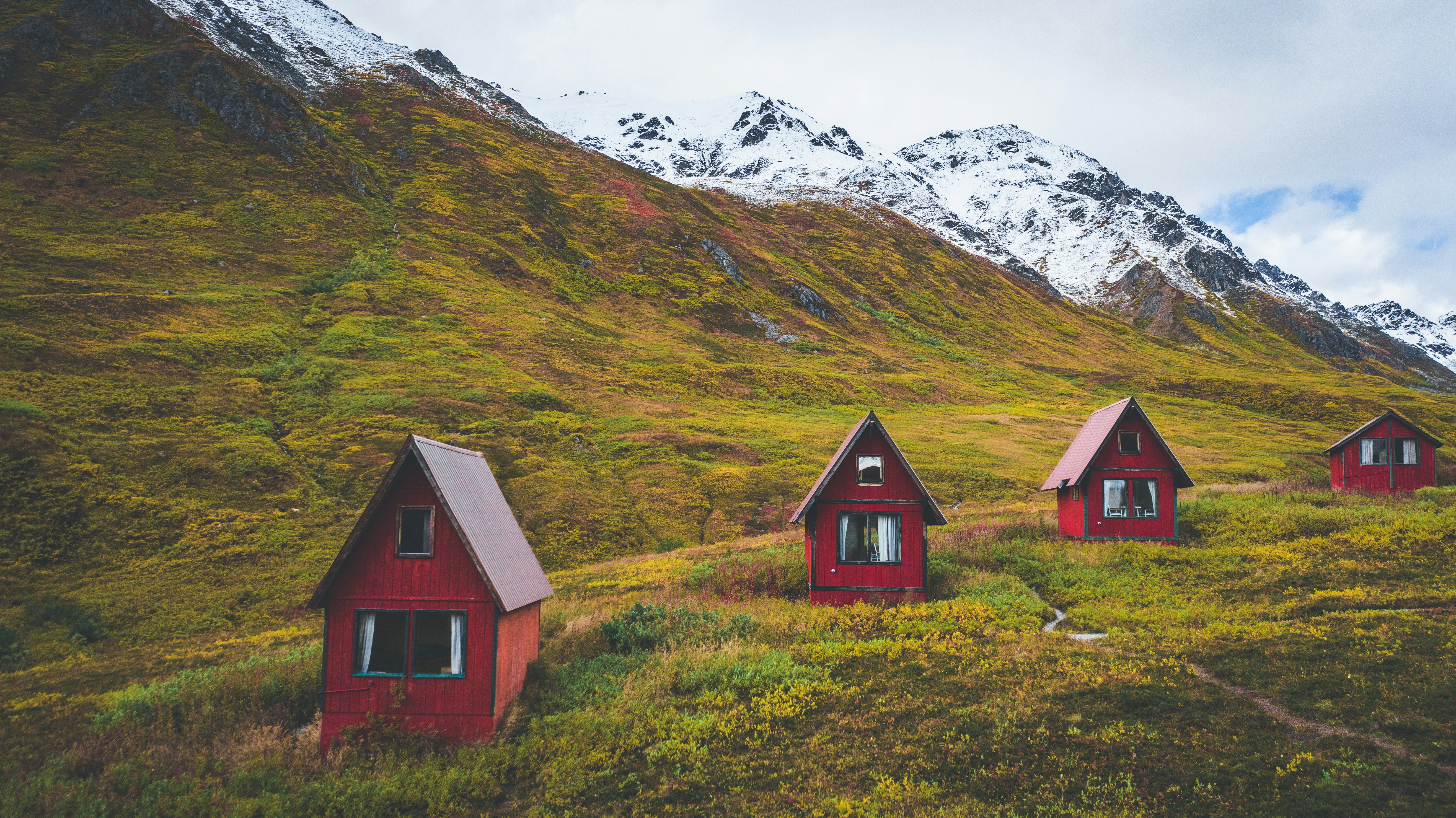 Private Hatcher Pass & Iditarod Wildlife Tour