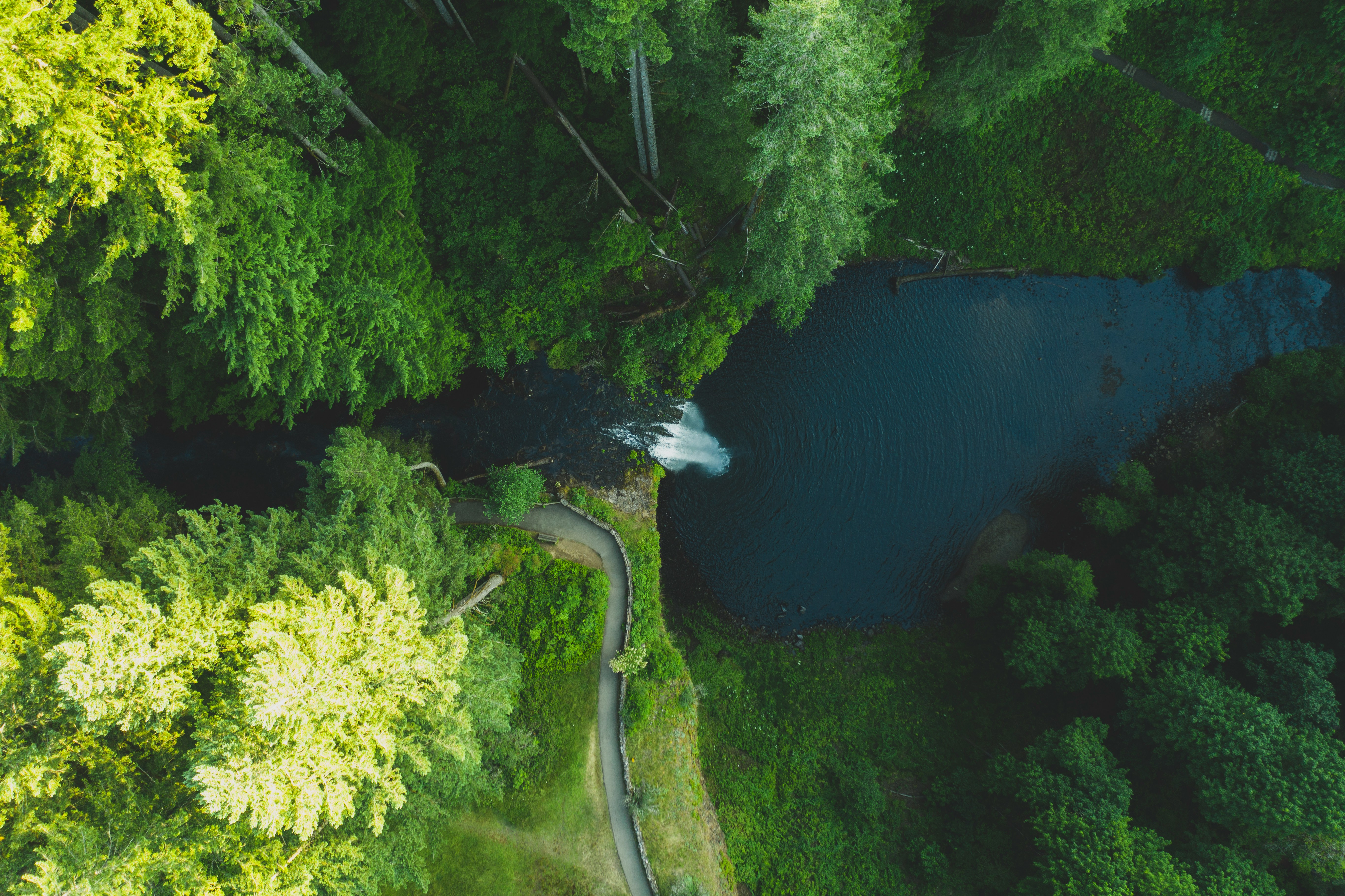 Silver Falls Hike