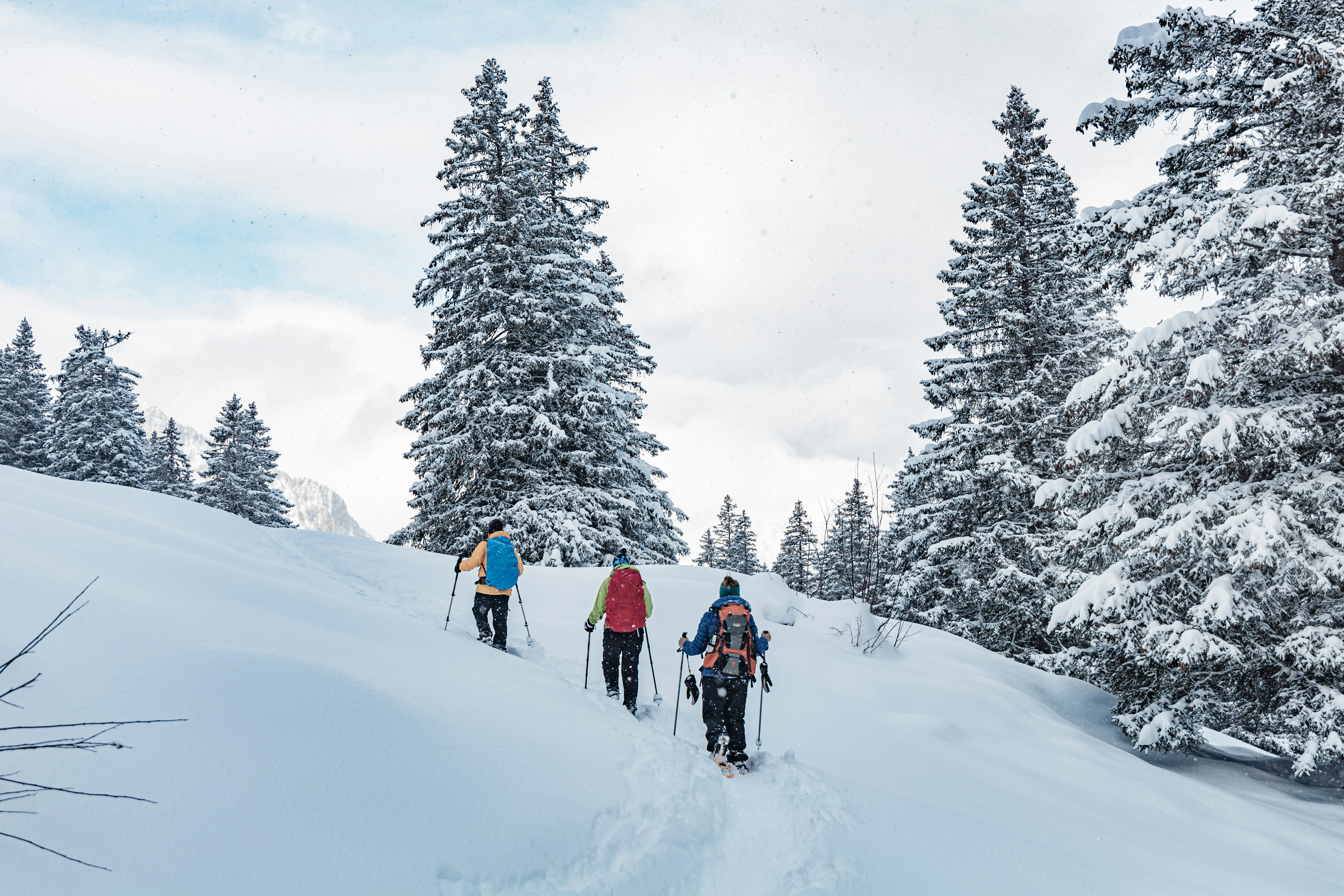 Albuquerque Sandia Snowshoe & Tram Adventure