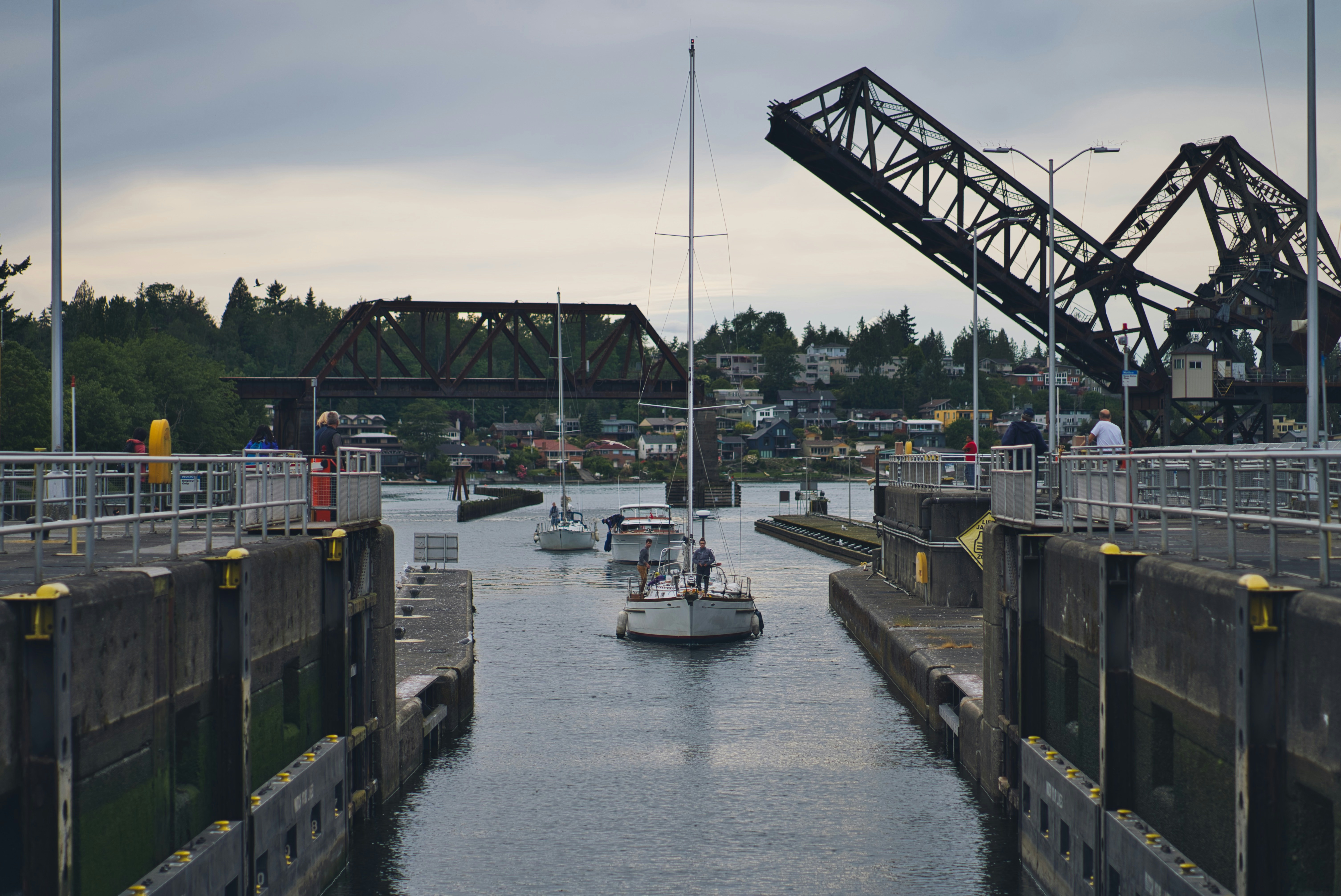 Seattle One Way Locks Cruise