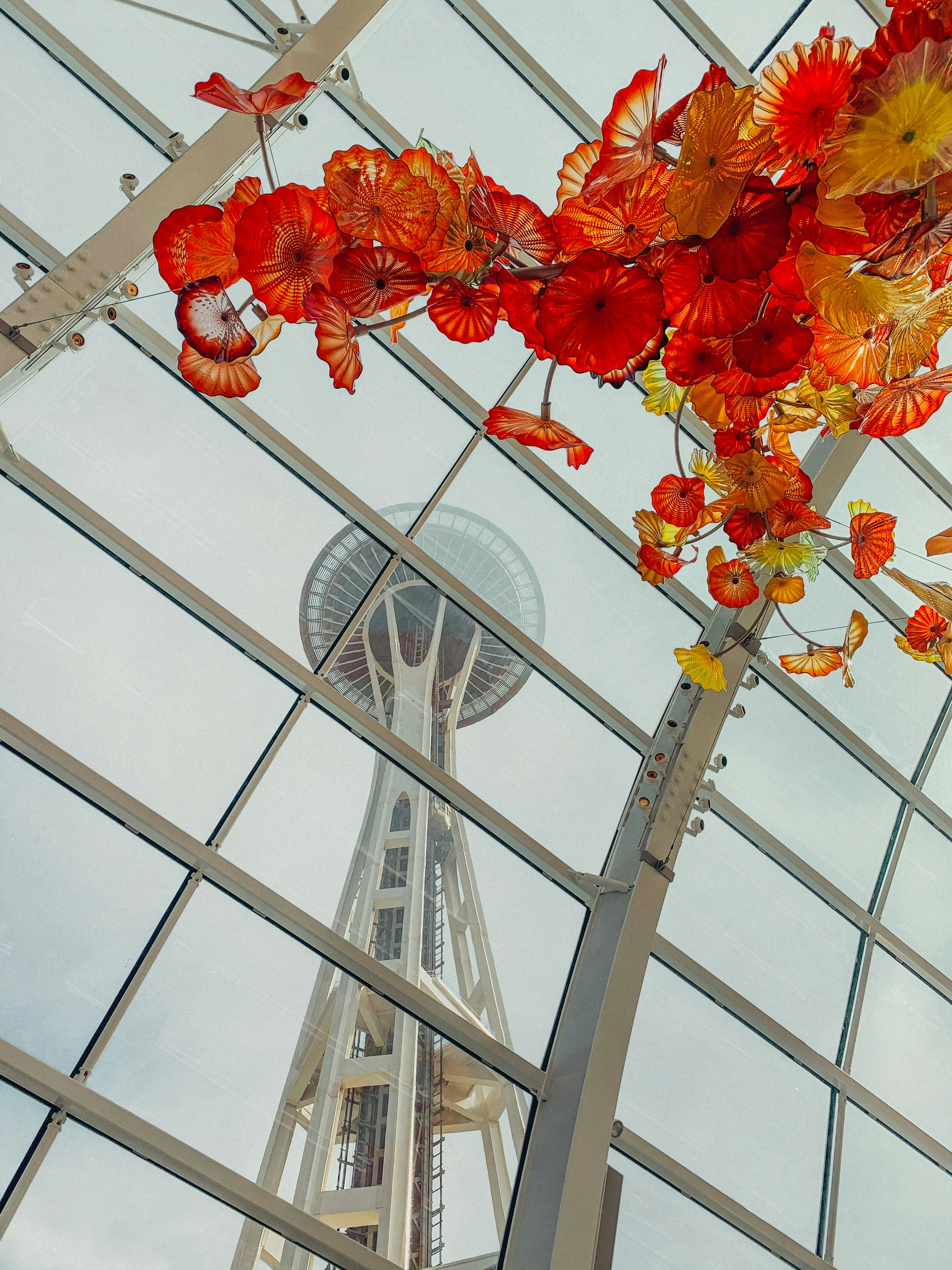 Aerial Views & Glass Gardens: Space Needle + Chihuly Combo