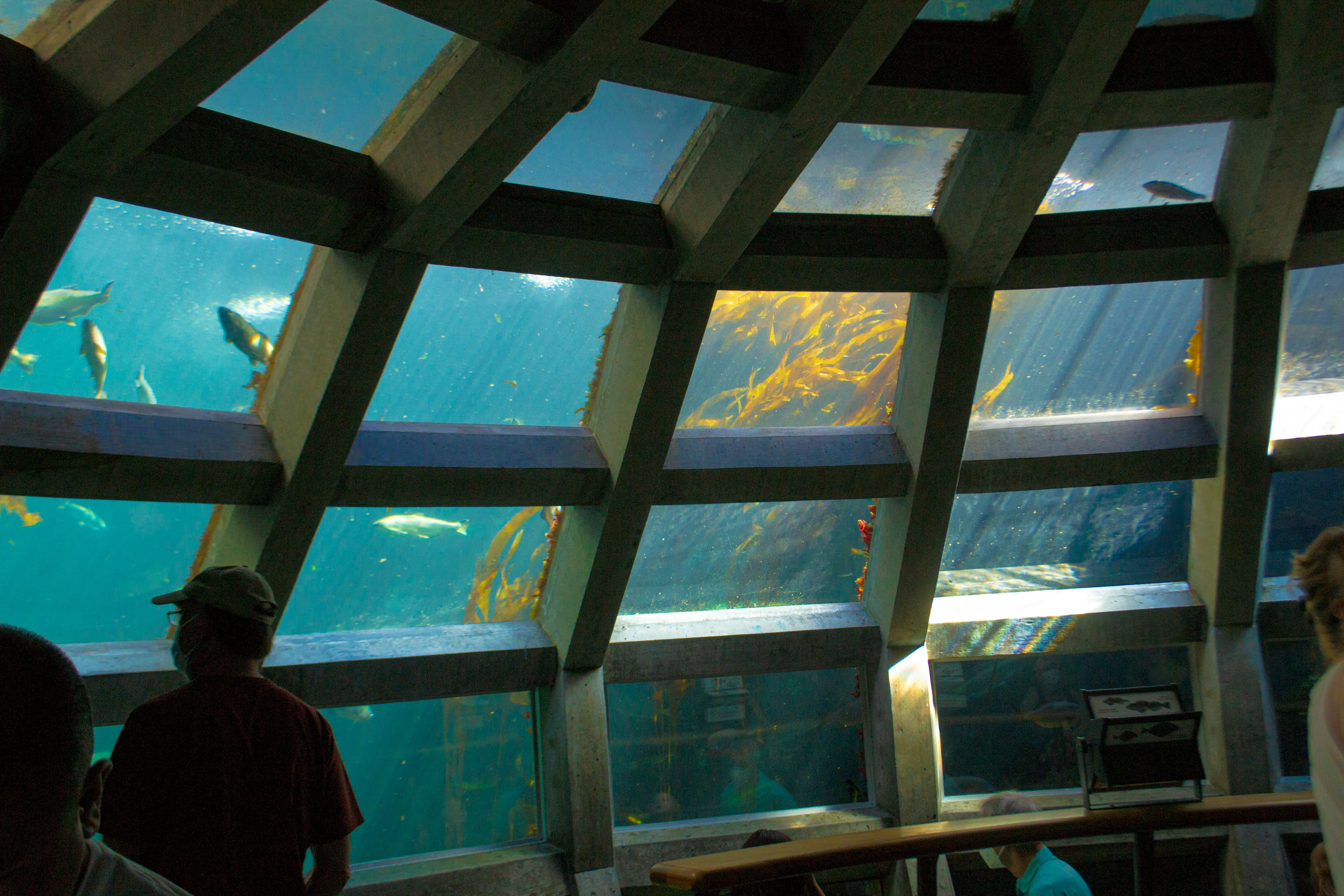 Seattle Aquarium