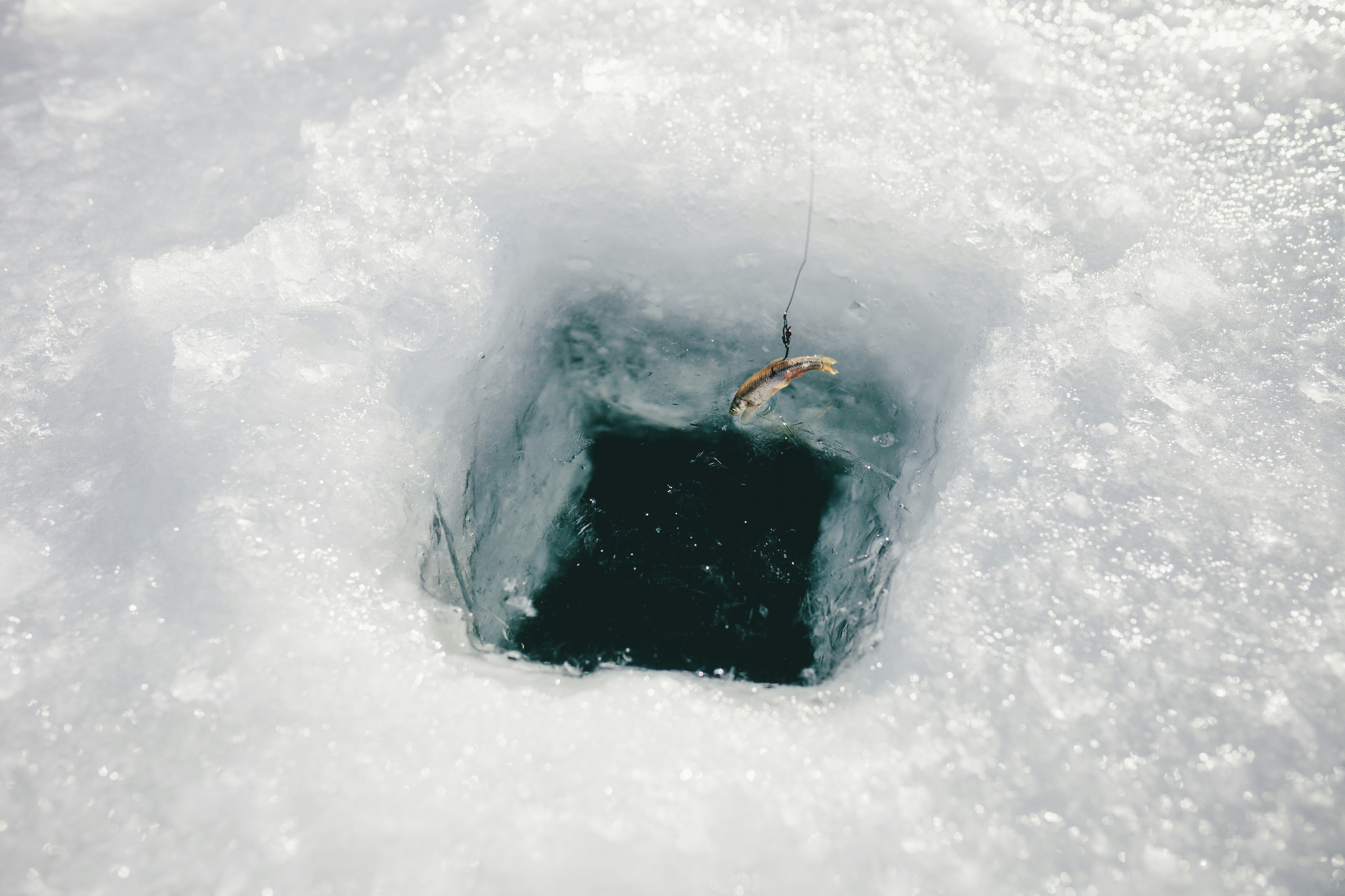 Anchorage Ice Fishing Adventure