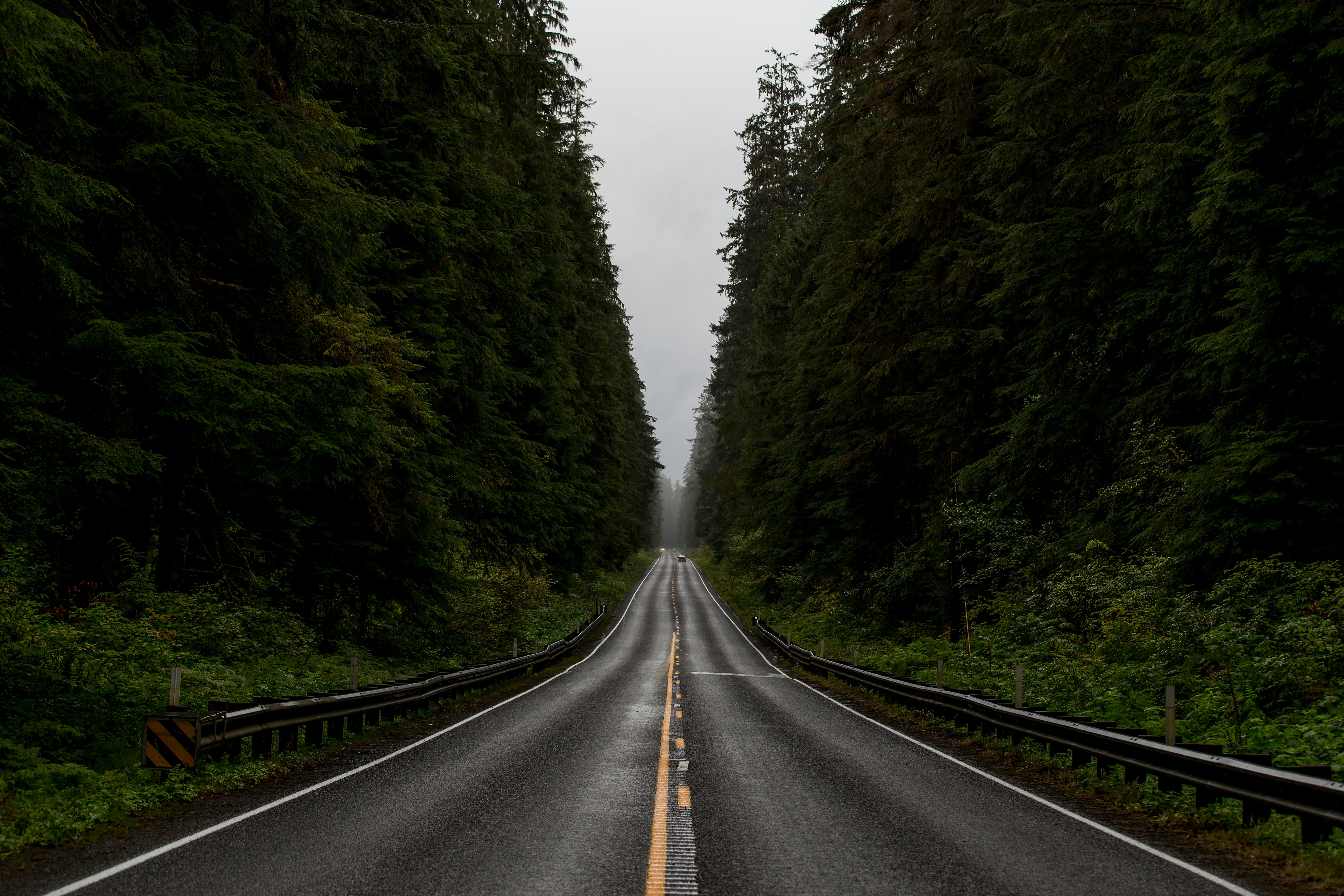 Olympic National Park Full-Day Escape