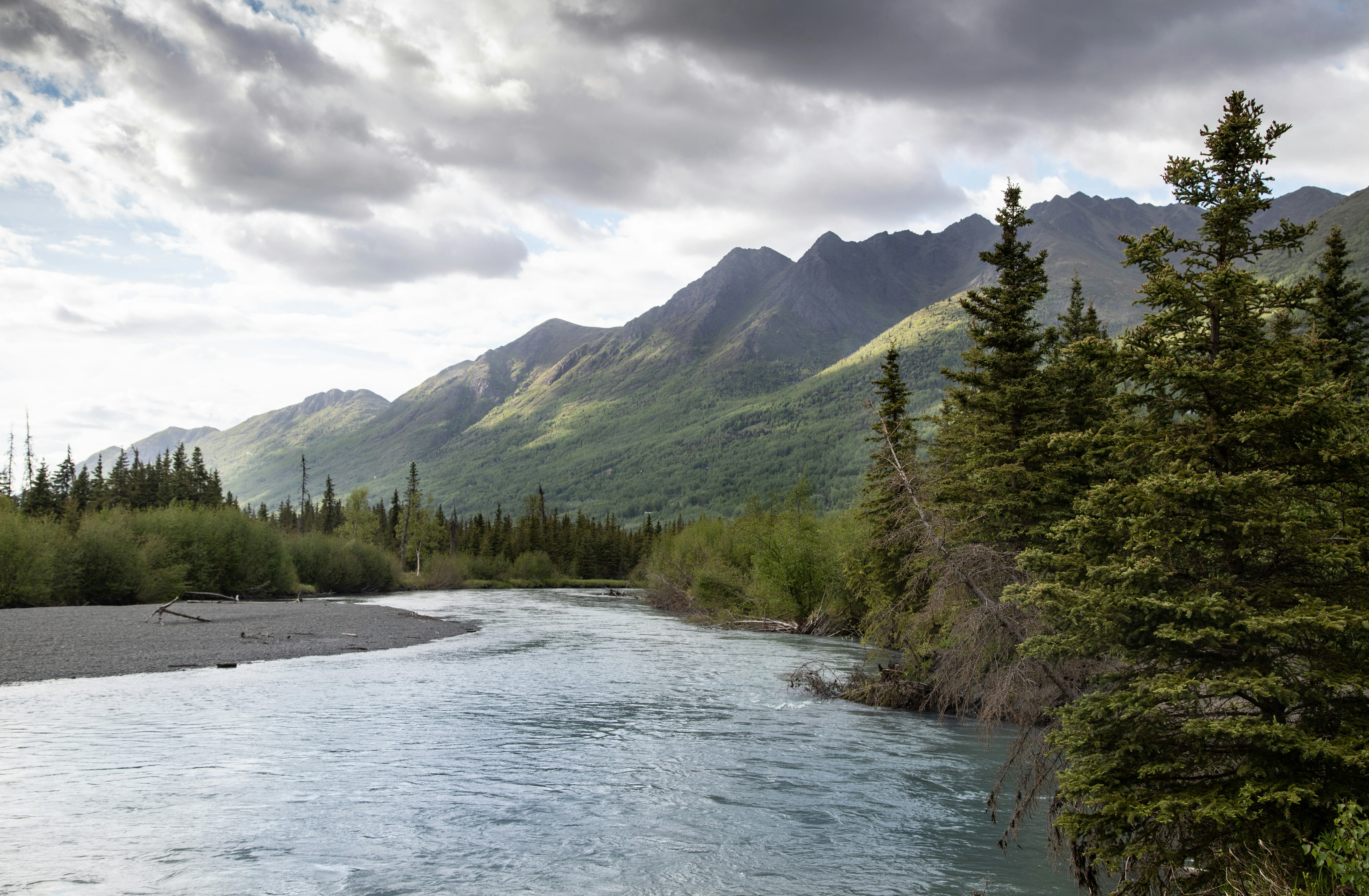 Anchorage City Tour with Wild Smoked Salmon & Reindeer Sausage