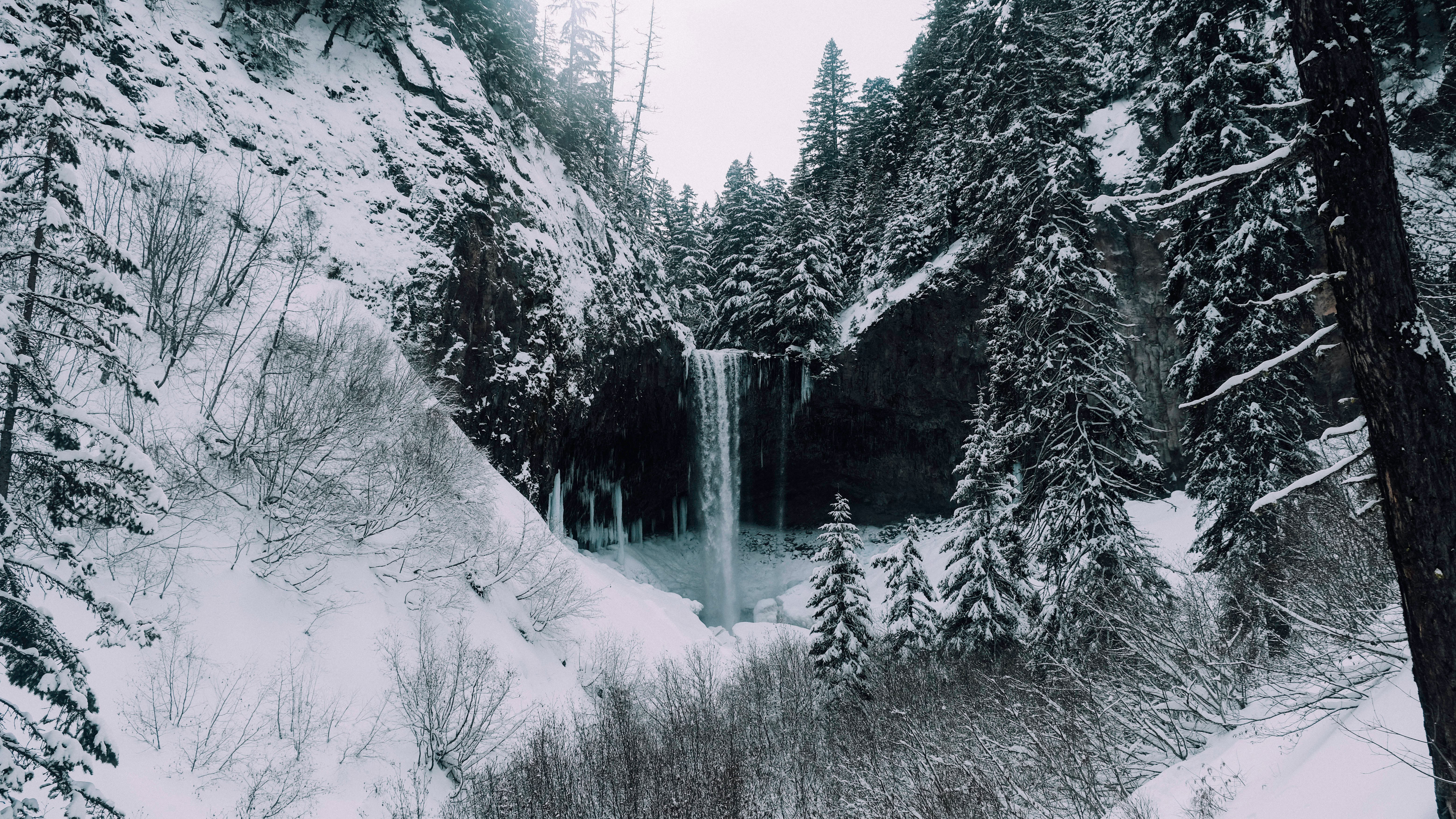 Winter Valley & Forest Hike