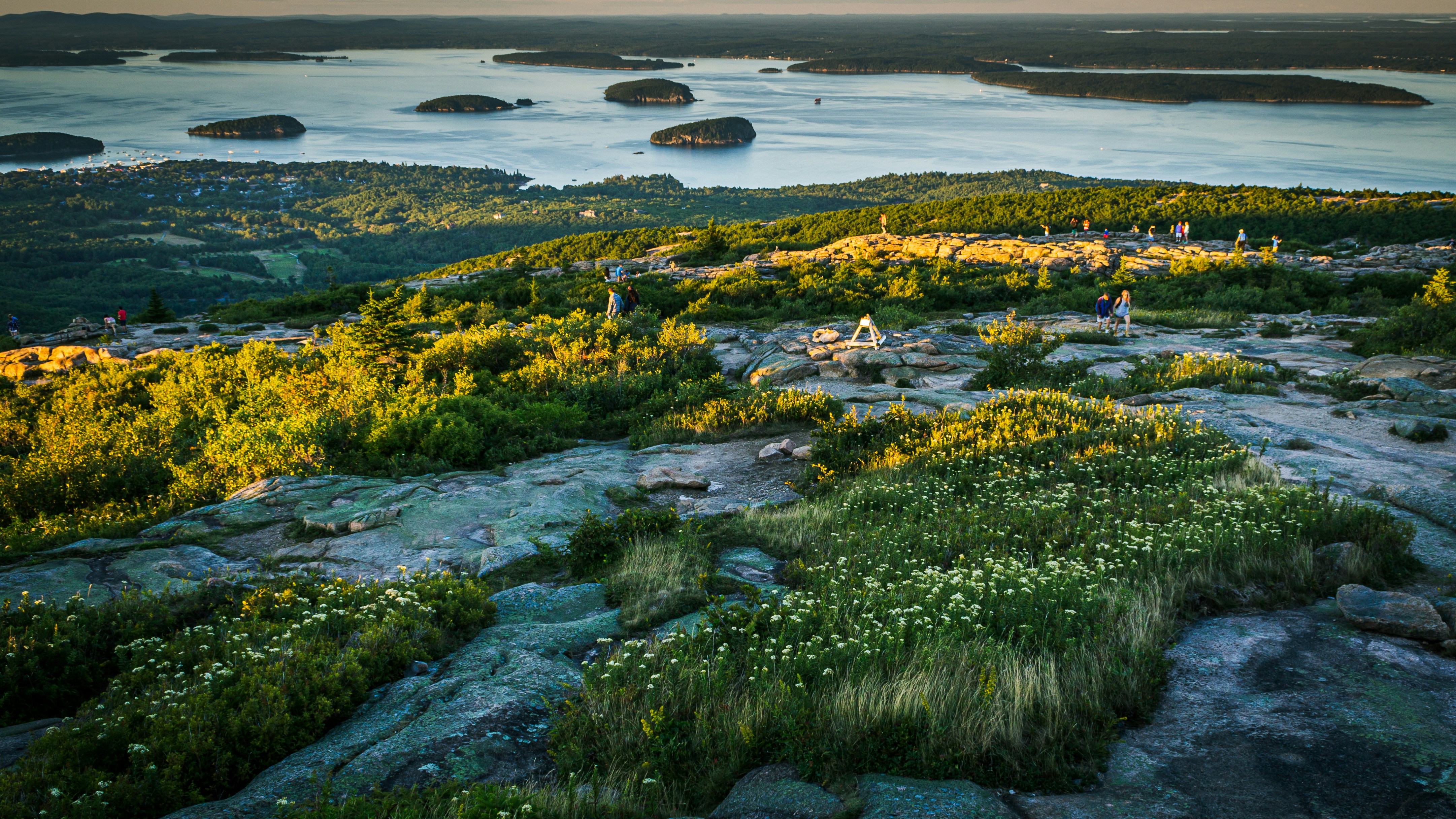 Narrated Bus Tour: Bar Harbor & Acadia National Park