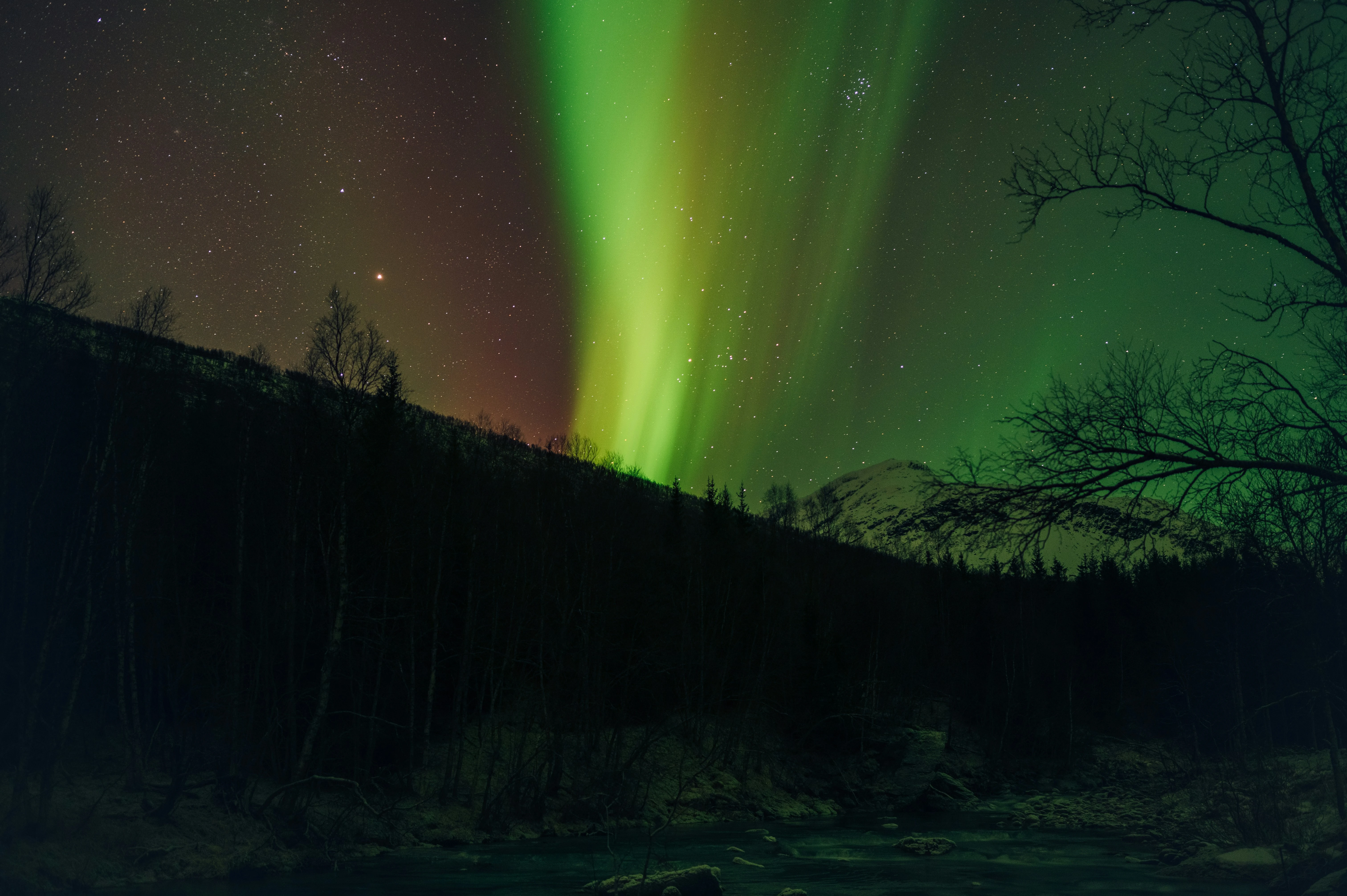 Anchorage Aurora Tour & Northern Lights Photography