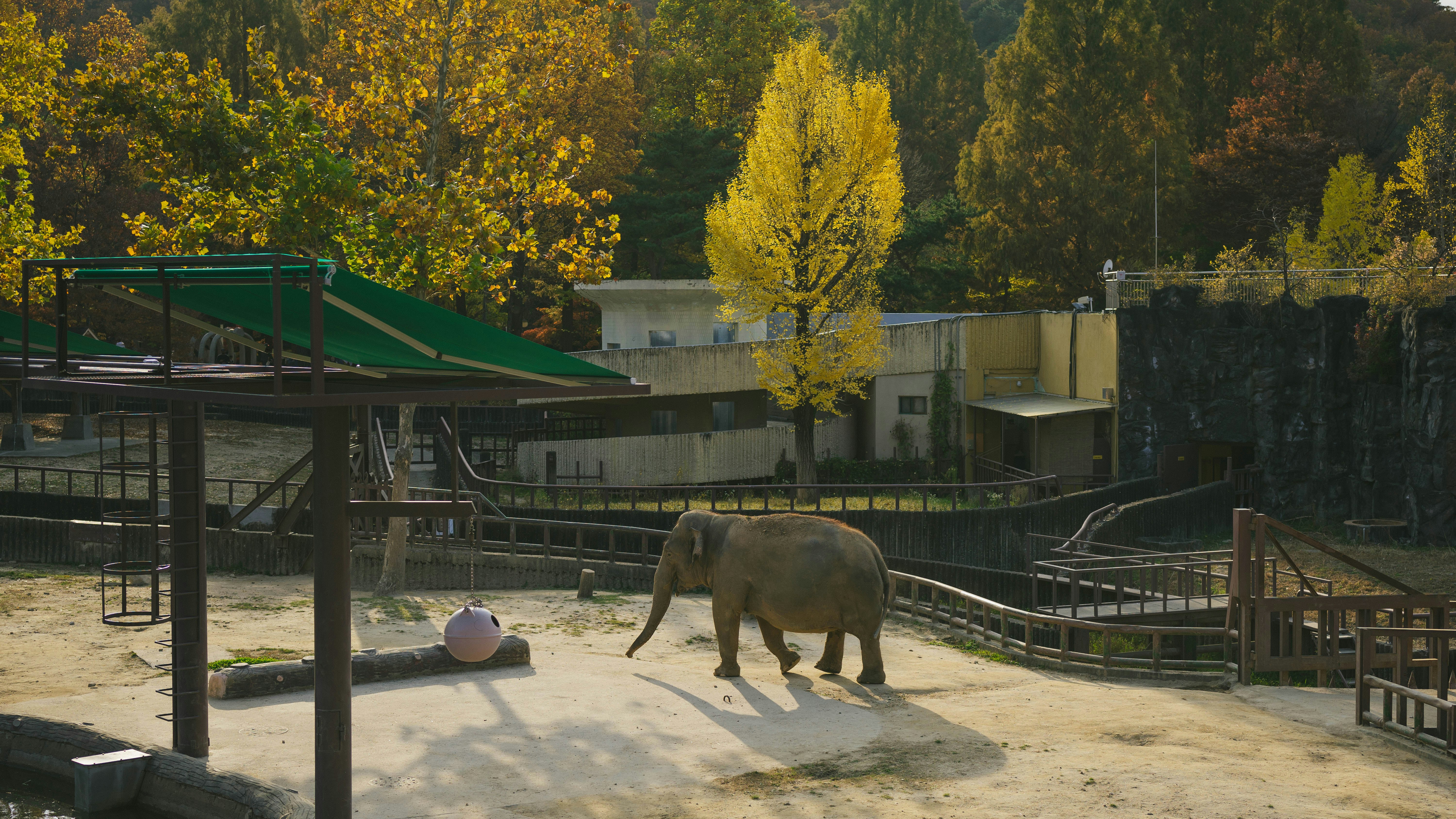 Woodland Park Zoo