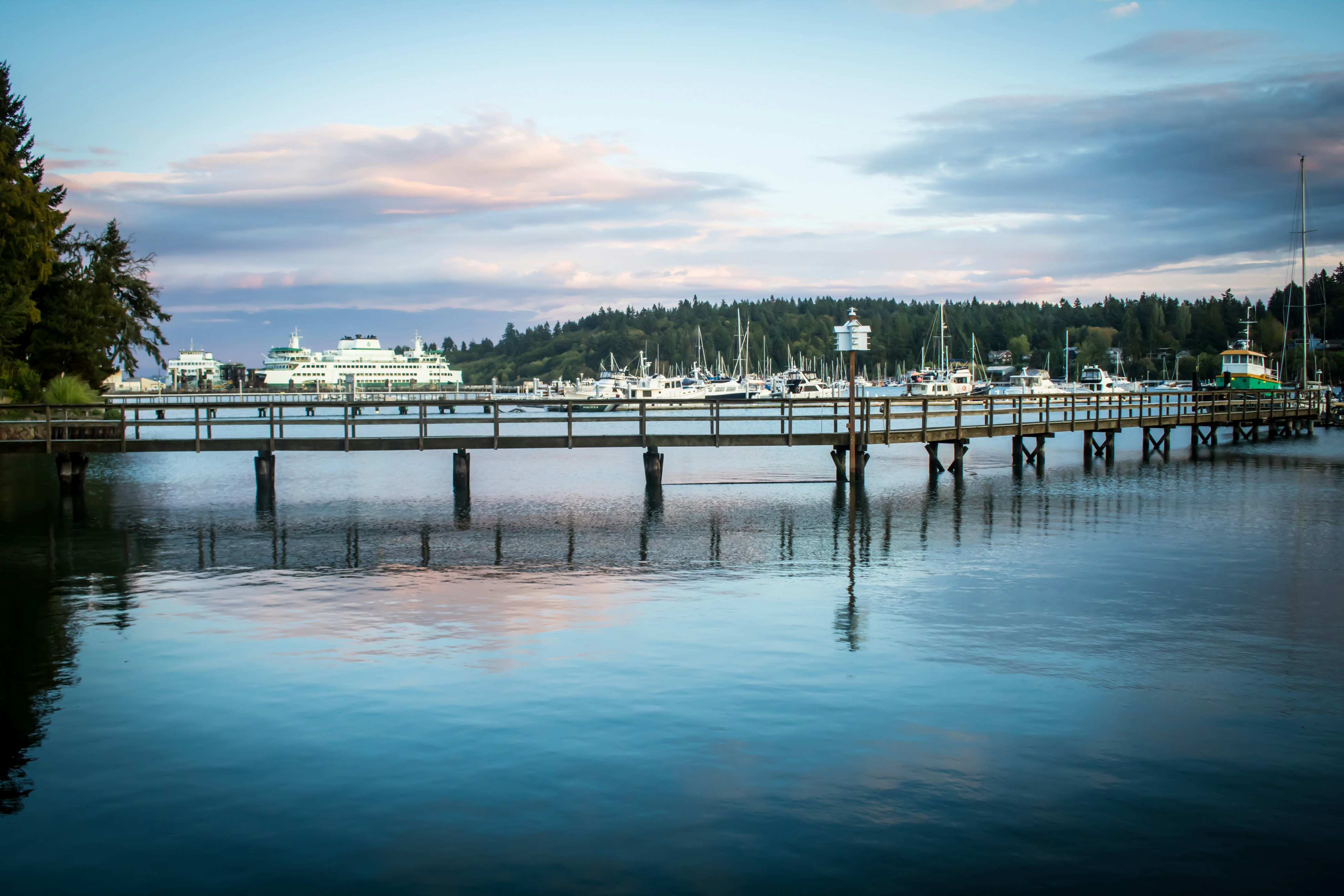 Bainbridge Island Serenity: Forest & Culture Hike